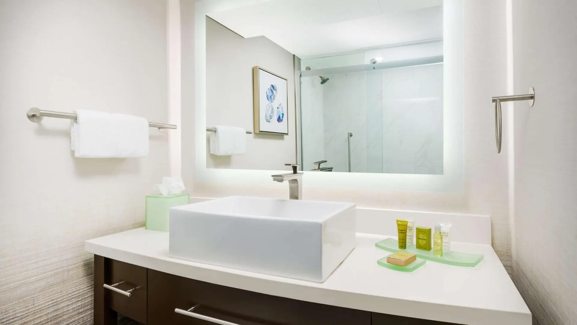 Hilton Charlotte University Place 3*,