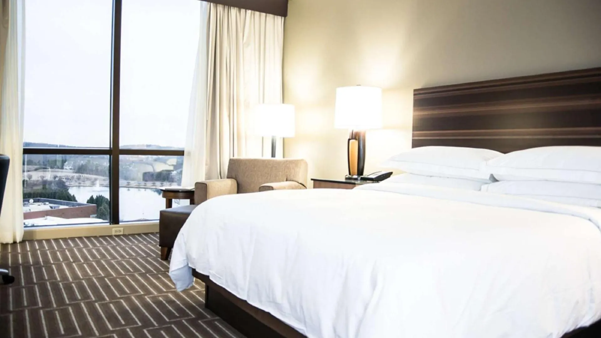 Hotel Hilton Charlotte University Place